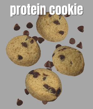 Protein Bite Sized Crunchy Chocolate Chip Protein