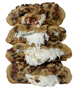 Chocolate Chip Vanilla 'Wich