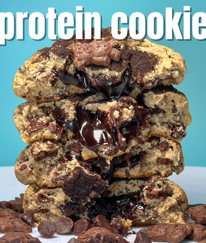 Chocolate Fudge DunkATeddy Protein