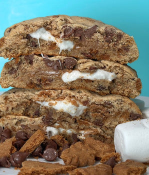 Cookie Butter S'mores PROTEIN