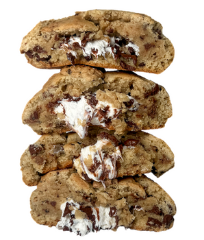 DunkATeddy Chocolate Chip